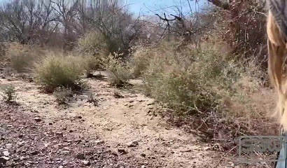 Fit babe blows off and fucks a handsome dude in the Las Vegas wetlands