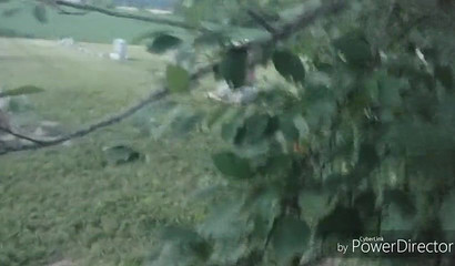 Kinky Amateur Redhead Sucking Her Boyfriend's Cock In A Graveyard