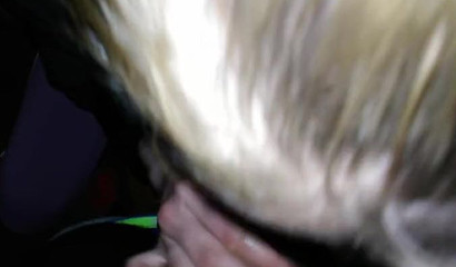 I love it when I meet sluts off the streets willing to give me a blowjob