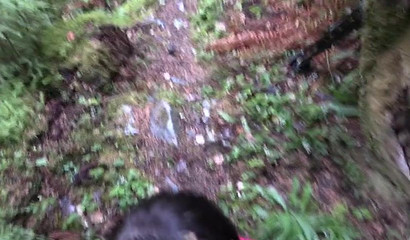 Horny brunette knees down and gives a BJ in the woods