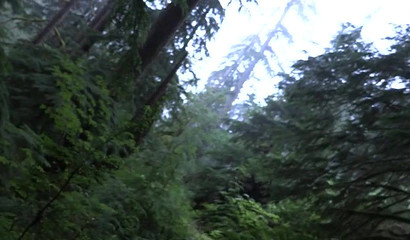 Horny brunette knees down and gives a BJ in the woods