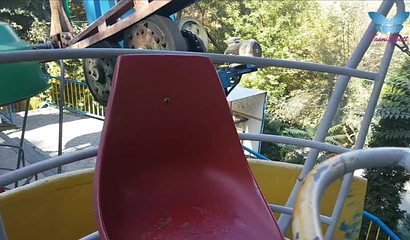 An exciting ferris wheel blowjob recorded as the ride is in session