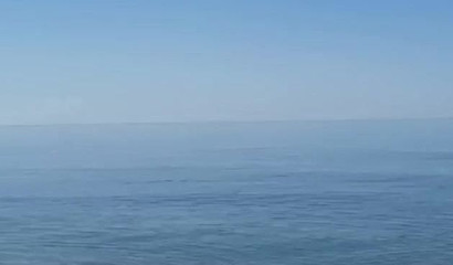 Nudists Engage in Public Tease