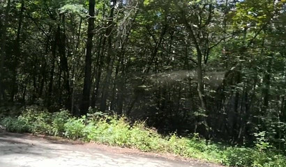 Polish amateur wife Amitiel Angel swallowing cum in a car