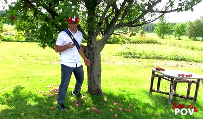 Smoking hot fairy finds a huge cock to slobber over