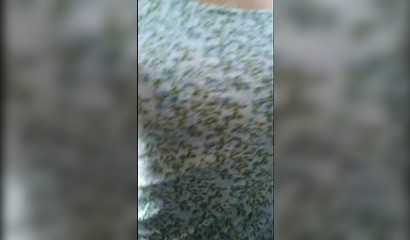Public Bus Blowjob from a Stranger