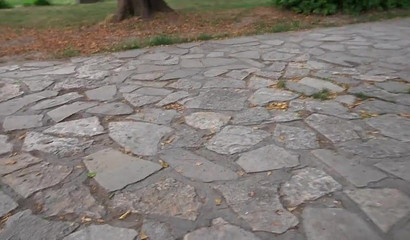 Quick Blowjob in the Park