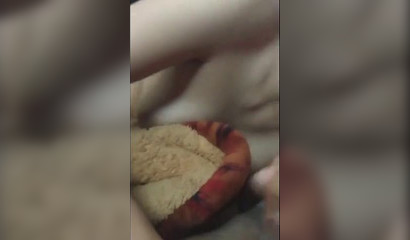 Beautiful babe craves a facial cumshot