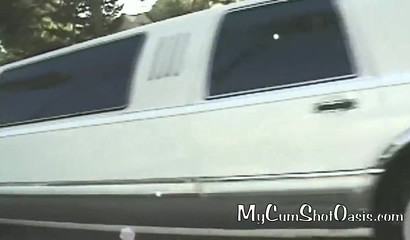 Brunette bitch with tiny tits gets intimate in a expensive car