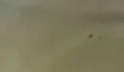 Slutty amateur blonde giving amazing deepthroat blowjob in POV