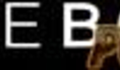 She takes the lead and puts his face to work