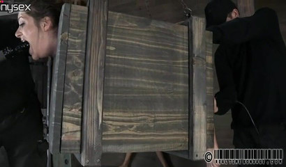 Brunette slave girl gets her face toyed while suspended in a box