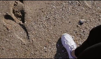 Luna's Spring Journey Episode 5