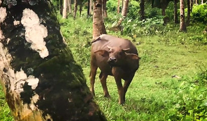 Blonde Girlfriend's Intense Deepthroat in Public