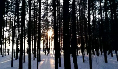 Horny teen Laruna_Mave blowing a cock on a winter day