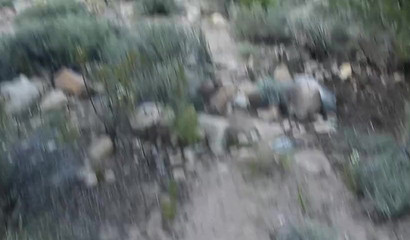 Teen with braces is an exhibitionist sucking dick outdoors