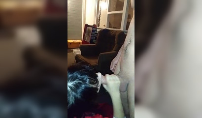 Brunette teen in ripped fishnets pounded balls deep